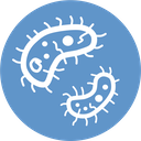 1.2 Ultrastructure of Cells