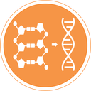 7.1 DNA Structure and Replication