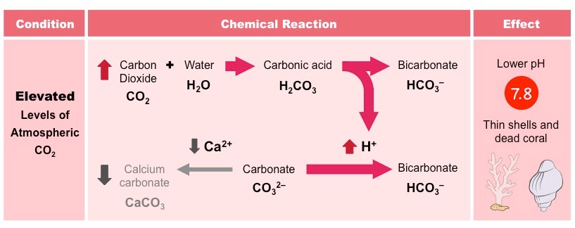 acidification after