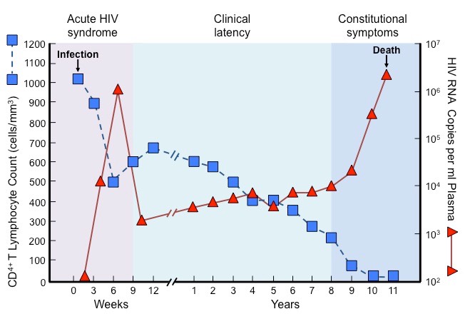 AIDS progression