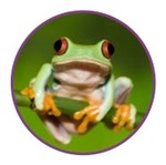 amphibian icon