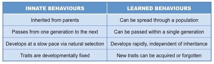 behaviour comparison