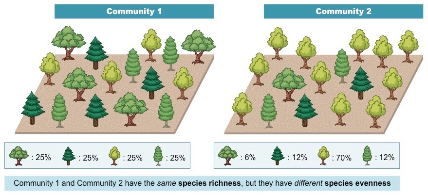 biodiversity