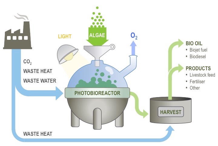 biofuel