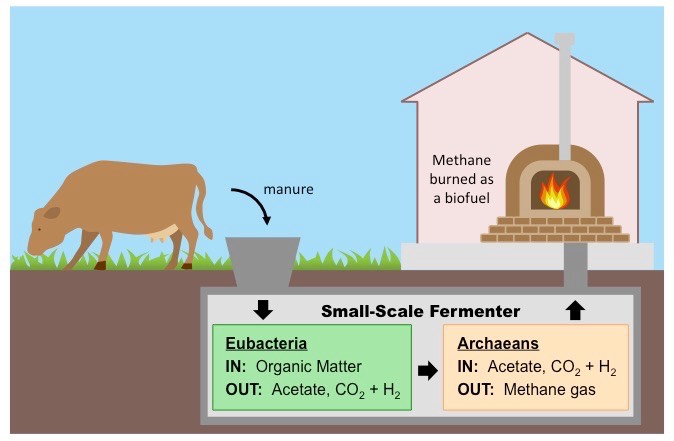 biogas