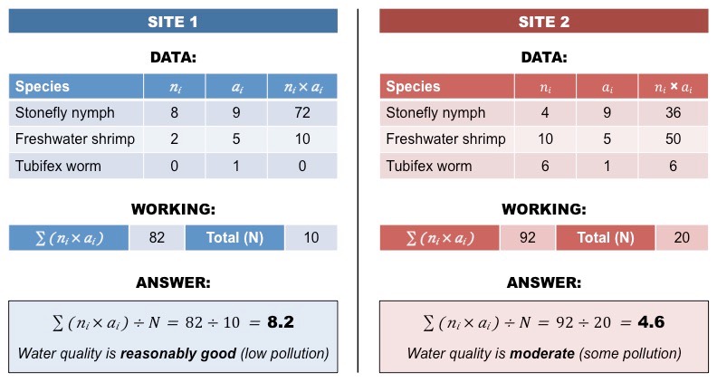 metric system