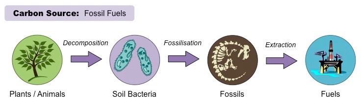 carbon fuels