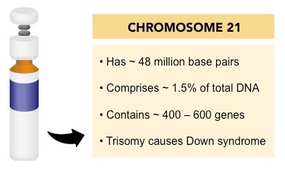 chromosome 21