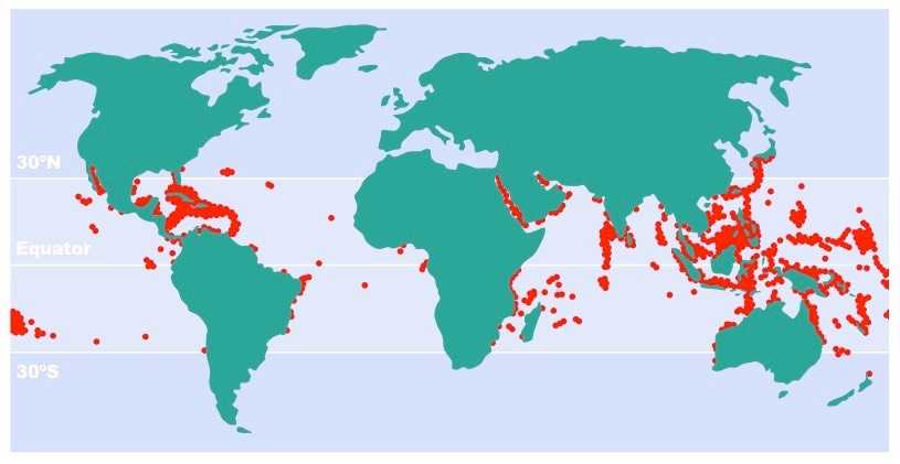 coral distribution