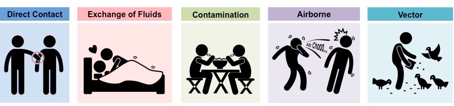 disease transmission