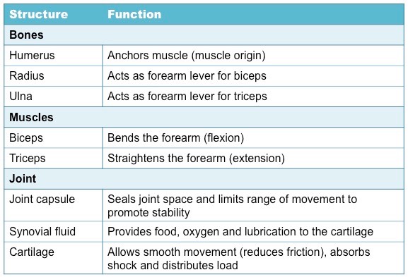 elbow structures