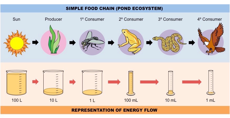 energy efficiency