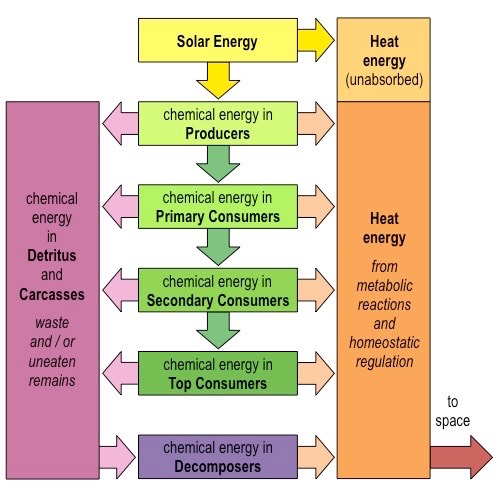 energy transformations