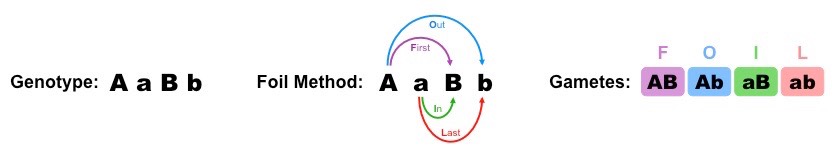 FOIL method