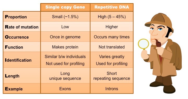 gene vs repeat