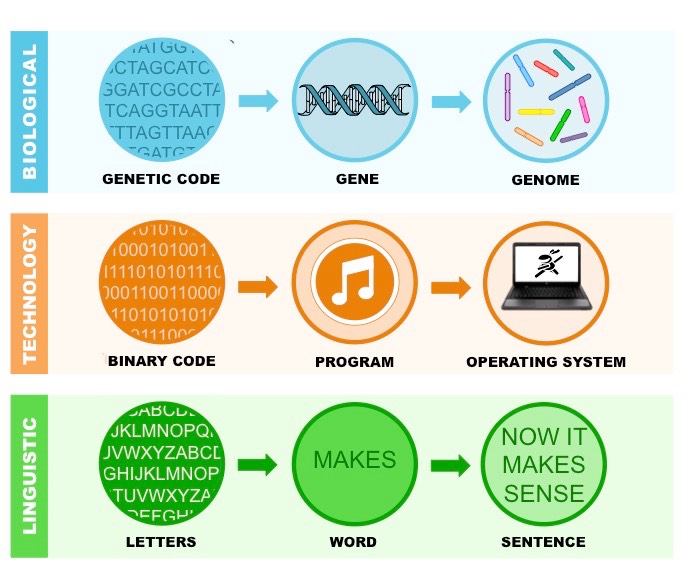 genome