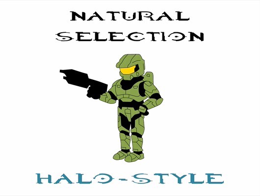 halo-evolution