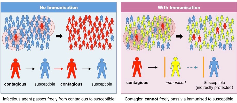 herd immunity