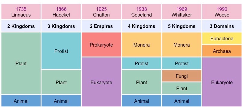 history of classification