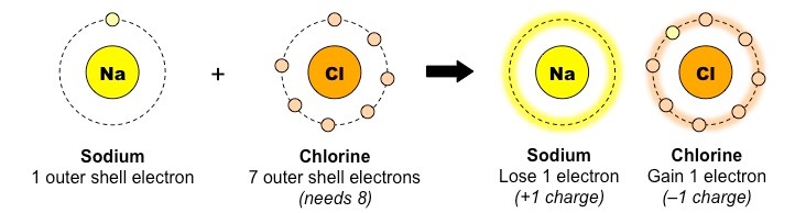 Types of Bonding BioNinja