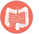 large intestine icon