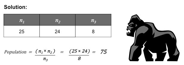 metric system