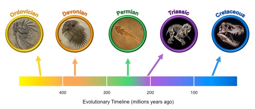 mass extinctions