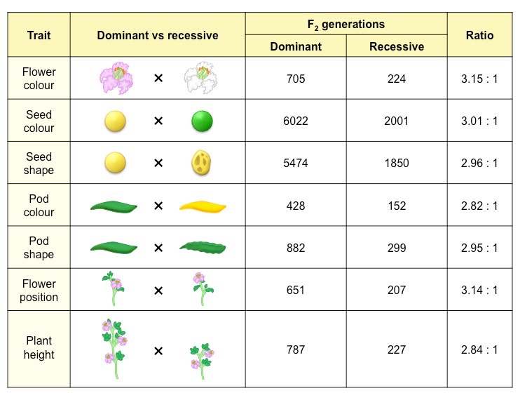 Mendel's data