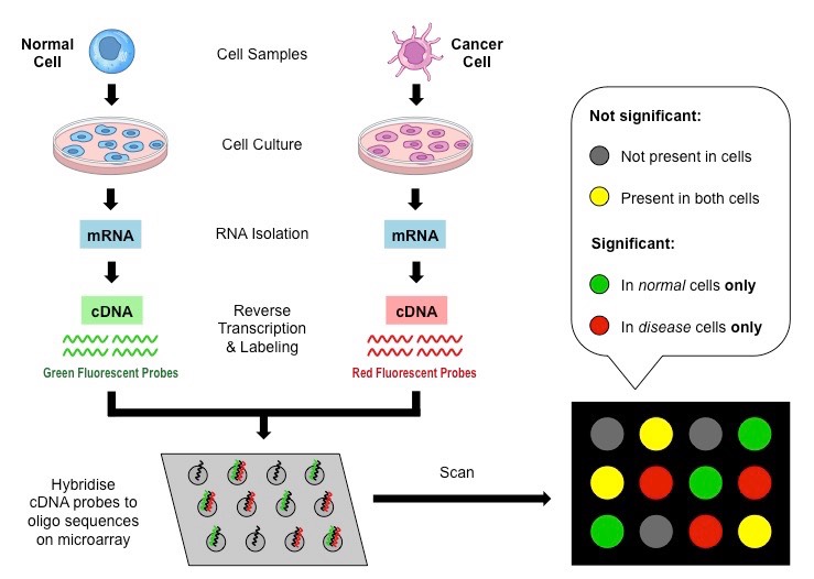 microarray