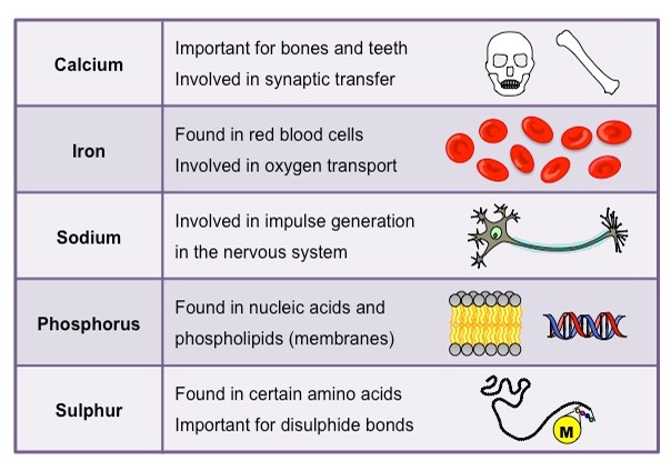 mineral nutrients