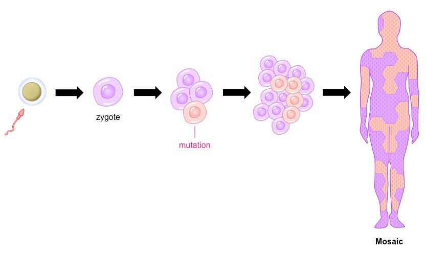 mosaicism