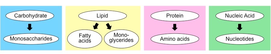 organic subunits