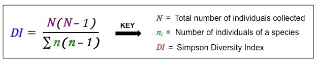 Simpson Index