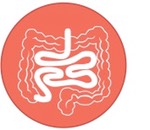 small intestine icon