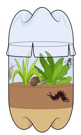 terrarium