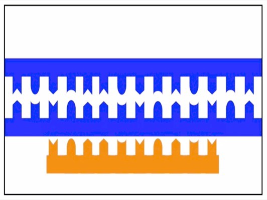 transcription-sl