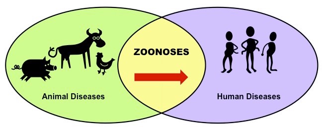 zoonoses